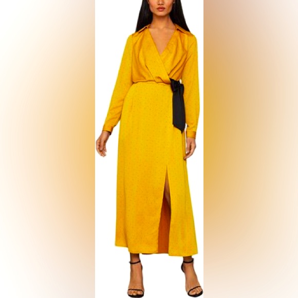 Bcbgmaxazria Satin Dress